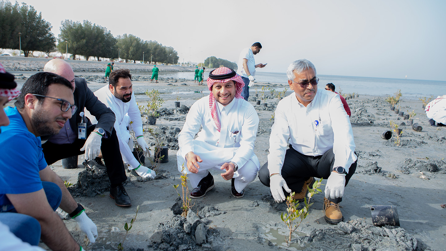 Volunteers plant trees