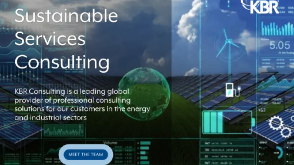 Sustainable Services Consulting