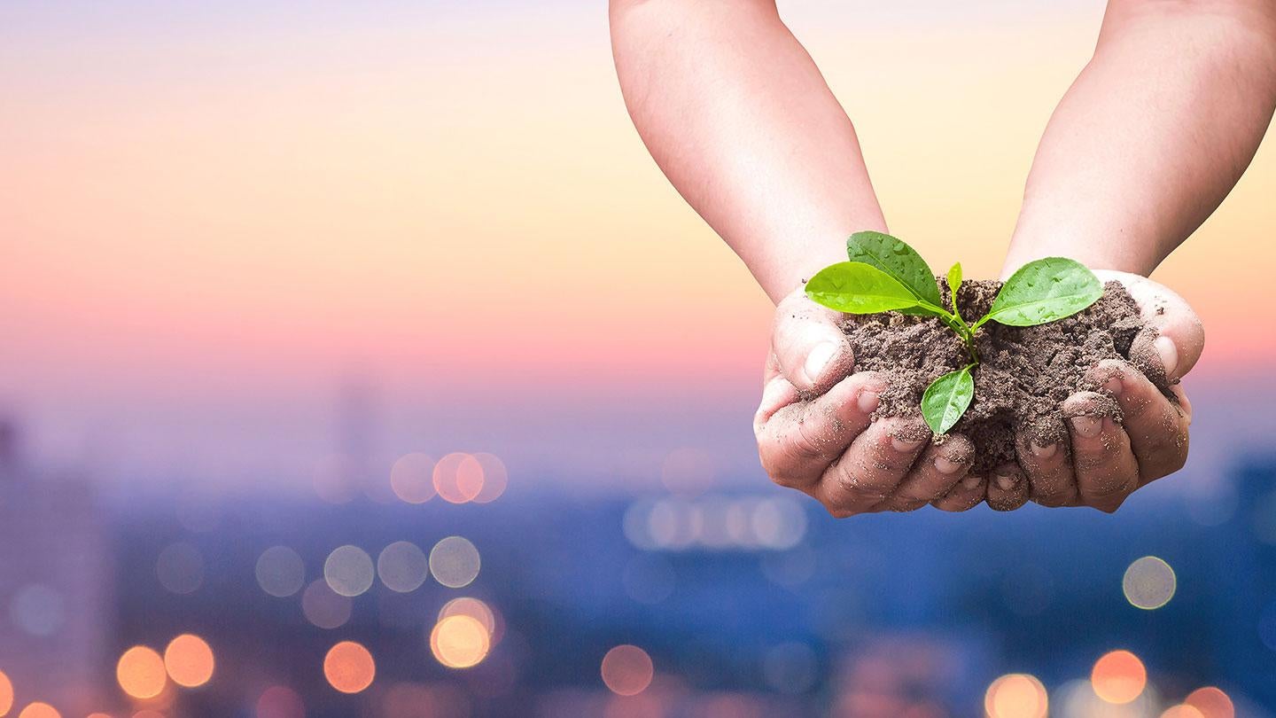 Expanding IS Aus_story_1